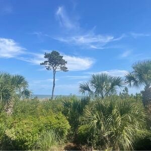 Meet your Posher, Brandi